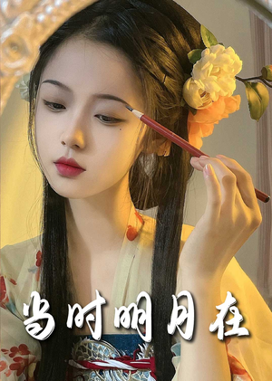 当时明月在（71集）完整版免费观看