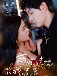 南风国境你我皆客(80集) 南风国境你我皆客(80集)正能量短剧分享