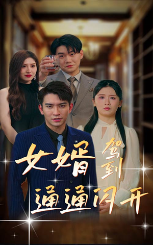 女婿驾到,通通闪开(34集) 女婿驾到,通通闪开(34集)1-102集