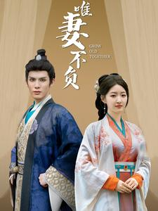 唯妻不负(80集) 唯妻不负(80集)精彩短剧上线