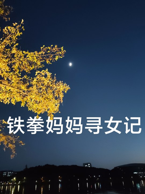 铁拳妈妈寻女记(69集) 铁拳妈妈寻女记(69集)在线观看完整版