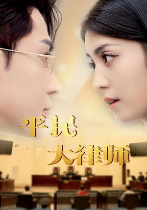 平民大律师（95集）免费短剧资源