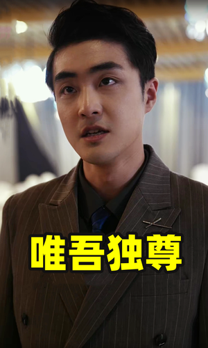 唯吾独尊(96集) 唯吾独尊(96集)一起追短剧吧