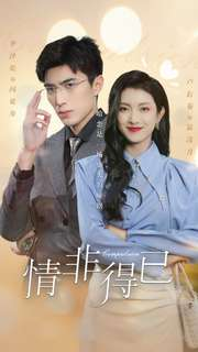 情非得已（60集）短剧在哪个平台