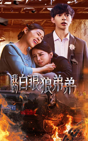 我的白眼狼弟弟(69集) 我的白眼狼弟弟(69集)更新时间