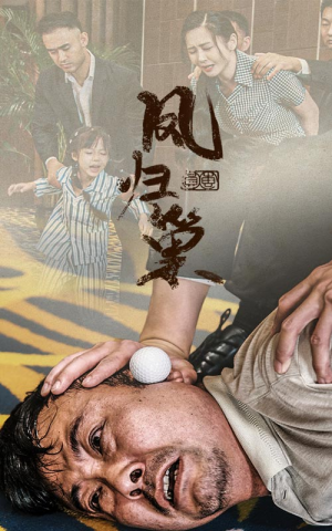 新版:凤归巢(68集) 新版:凤归巢(68集)好看的短剧