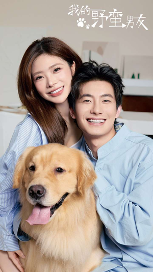 我的野蛮男友（70集）精彩的短剧