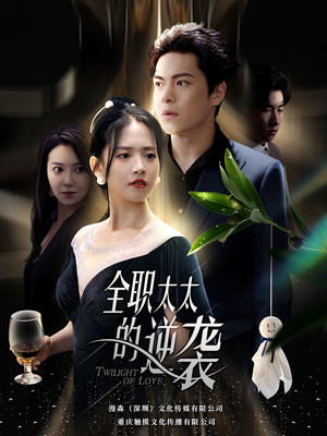 全职太太的逆袭(80集) 全职太太的逆袭(80集)免费短剧全集看