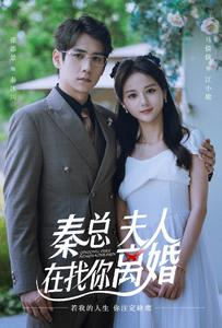 秦总,夫人在找你离婚(79集) 秦总,夫人在找你离婚(79集)精彩热门短剧