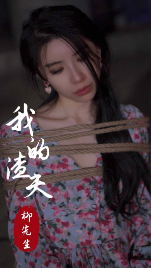 我的渣夫柳先生（80集）集免费看短剧