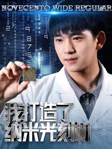 我打造了纳米光刻机(76集) 我打造了纳米光刻机(76集)全部免费看全集