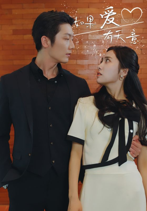 如果爱有天意(80集) 如果爱有天意(80集)精彩短剧看全集