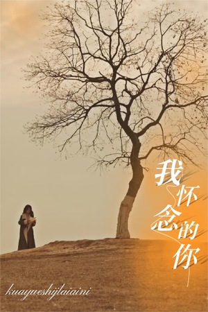 我怀念的你(38集) 我怀念的你(38集)免费在线看