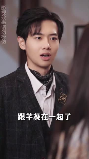 少帅的笼中鸟(70集) 少帅的笼中鸟(70集)解说