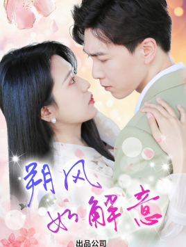 朔风有解意（70集）追短剧关注我