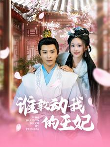 谁敢动我的王妃（62集）精彩短剧片段