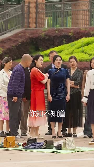 闪婚50岁（95集）在哪看免费