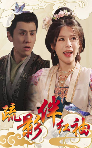 疏影伴红袖(40集) 疏影伴红袖(40集)女主角是谁