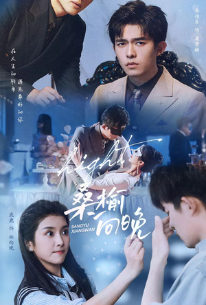 桑榆向晚(65集) 桑榆向晚(65集)夸克网盘在线看