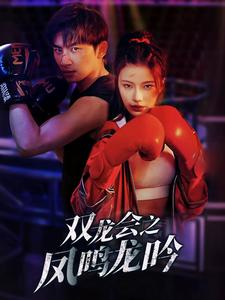 双龙会之凤鸣龙吟(80集) 双龙会之凤鸣龙吟(80集)悬疑短剧推荐