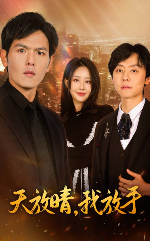 天放晴,我放手(35集) 天放晴,我放手(35集)免费短剧完整版