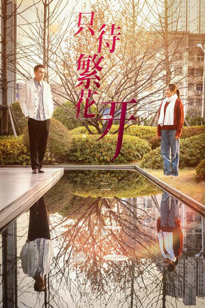 只待繁花开(35集) 只待繁花开(35集)免费观看