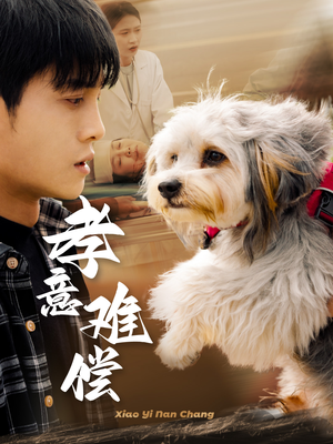 孝意难偿(32集) 孝意难偿(32集)热播短剧重燃