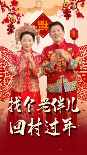 找个老伴儿回村过年(58集) 找个老伴儿回村过年(58集)免费短剧合集