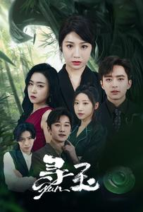 寻玉(77集) 寻玉(77集)女频短剧推荐