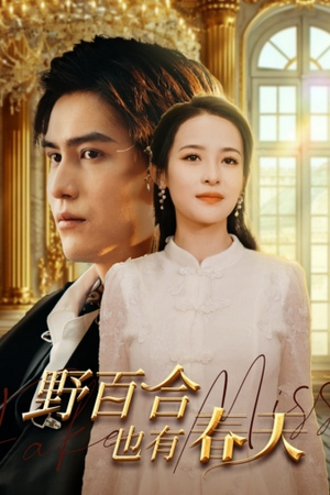 野百合也有春天（85集）好看上头短剧