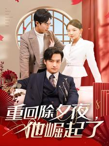 重回除夕夜他崛起了(89集) 重回除夕夜他崛起了(89集)全集一网打尽