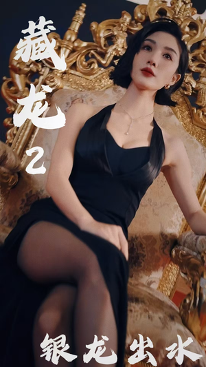 藏龙2银龙出水(35集) 藏龙2银龙出水(35集)免费观看就是爽