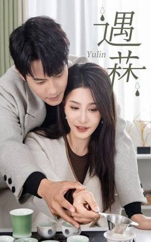 遇菻＆遇霖（50集）在线免费观影