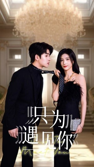 只为遇见你(88集) 只为遇见你(88集)追短剧看全集