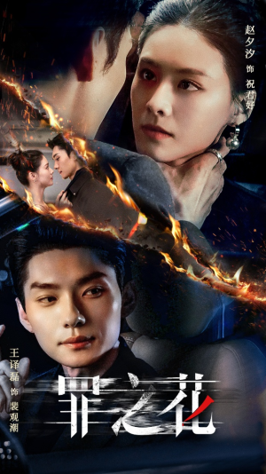 罪之花(56集) 罪之花(56集)我真的爱了