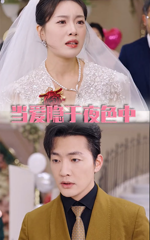 当爱隐于夜色中(37集) 当爱隐于夜色中(37集)免费观看完整版