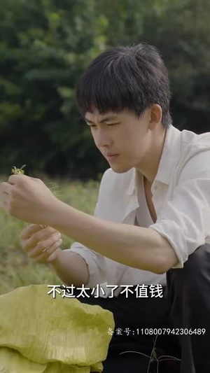 乡间幸福往事(80集) 乡间幸福往事(80集)热门短剧在线看