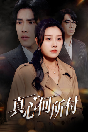 真心何所付(30集) 真心何所付(30集)演员表