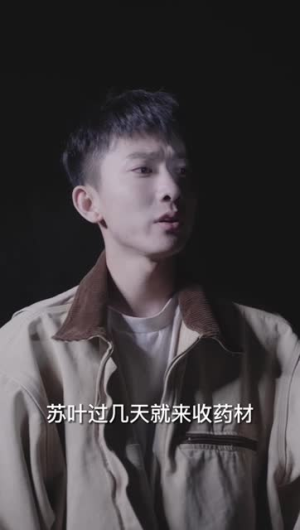 花开花落（100集）热播短剧全集看