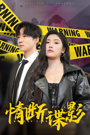 情断谍影(30集) 情断谍影(30集) 在线播放