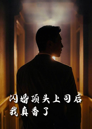 闪婚顶头上司后我真香了(80集) 闪婚顶头上司后我真香了(80集)甜宠短剧推荐
