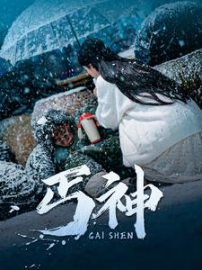 丐神(90集) 丐神(90集) 推荐好短剧