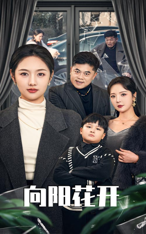 向阳花开(40集) 向阳花开(40集) 高清无码免费看