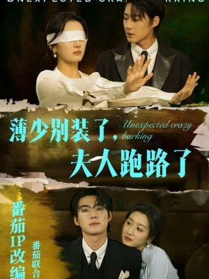 薄少别装了夫人跑路了（60集） 好看又上头短剧