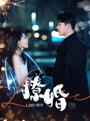 撩婚(90集) 撩婚(90集) 精彩短剧免费看