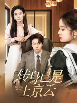 转身已是上京云（88集）观看软件