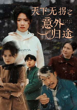 天下无拐之意外归途（61集） 一共多少集