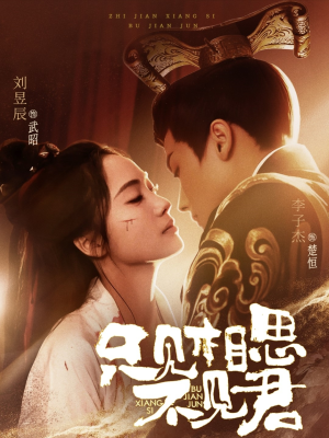 只见相思不见君(82集) 只见相思不见君(82集) 爆火短剧推荐