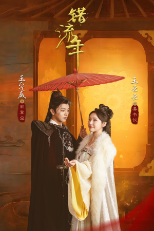 错流年(66集) 错流年(66集) 全集在线看