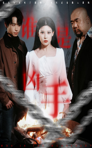 谁是凶手(31集) 谁是凶手(31集) 悬疑短剧推荐